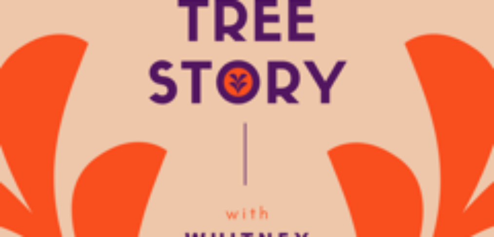 Flame Tree Story podcast cover